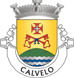 Maria Irene Sousa Lemos