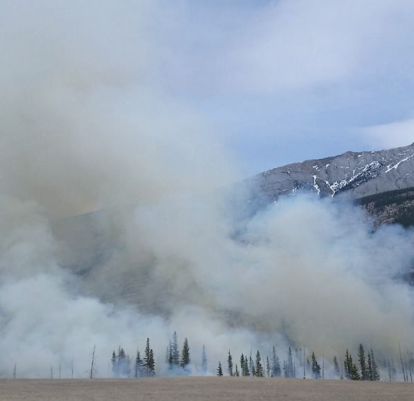 Autoriza&ccedil;&atilde;o de queimas e queimadas